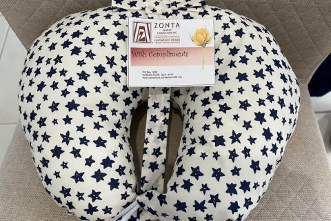 zonta-breast-cushion-orig